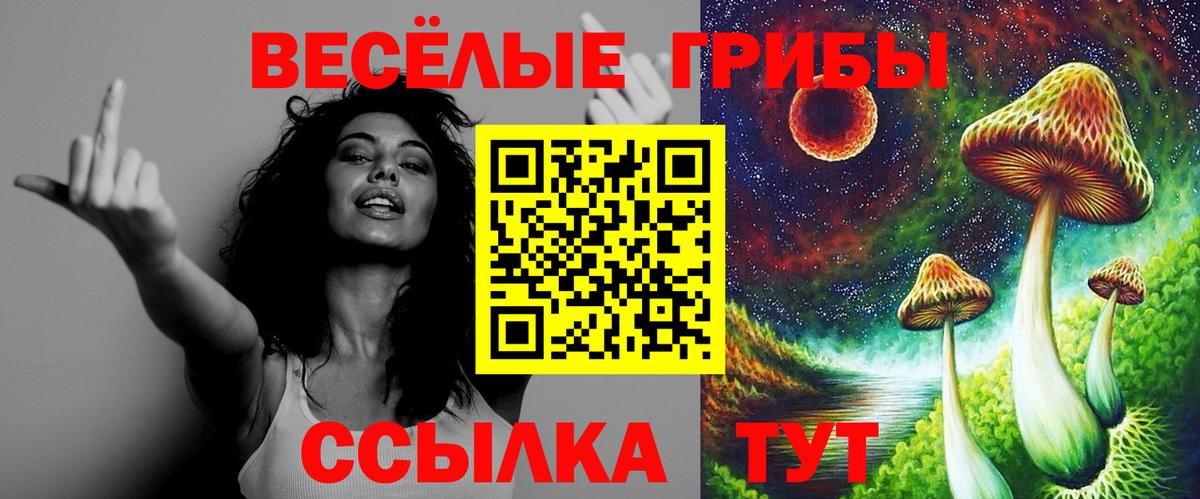 Лесозаводск  сколько стоит  Вход с VPN  Галлюциногенные грибы Cubensis  Псилоцибиновые грибы ЛСД 
